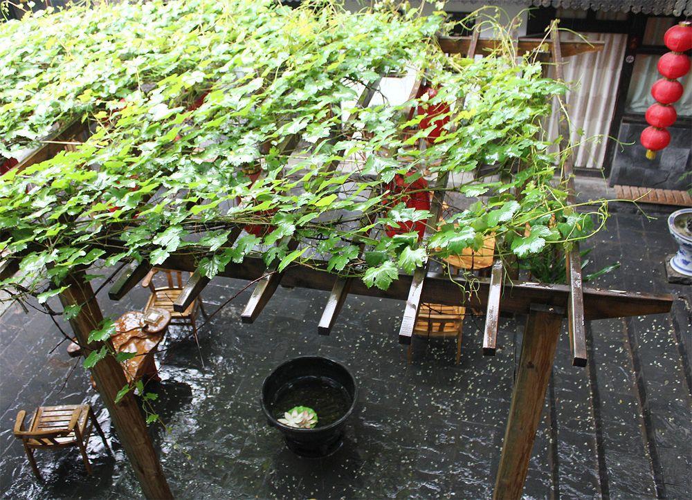 Hill Lily Courtyard Hotell Peking Exteriör bild