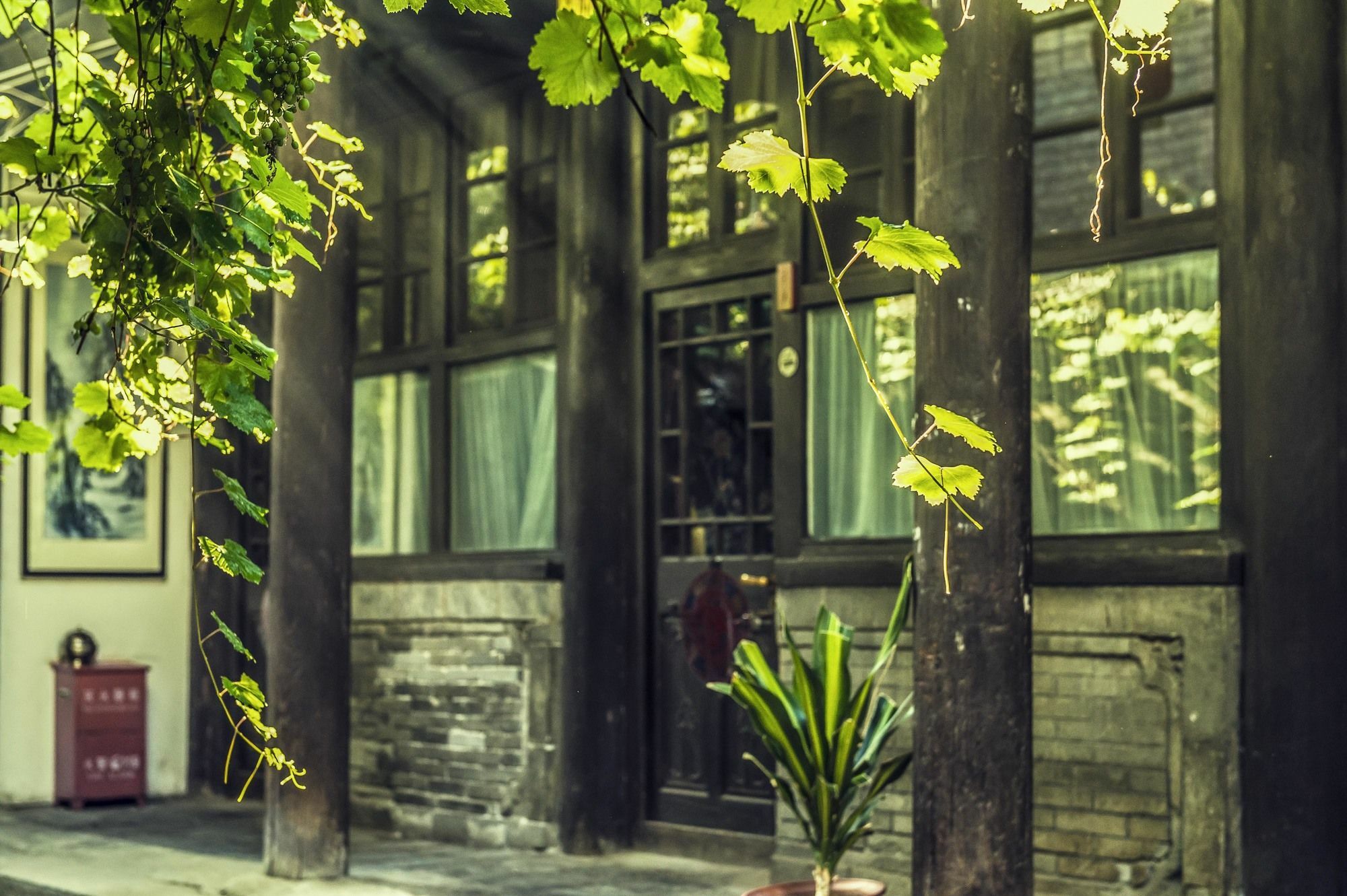 Hill Lily Courtyard Hotell Peking Exteriör bild