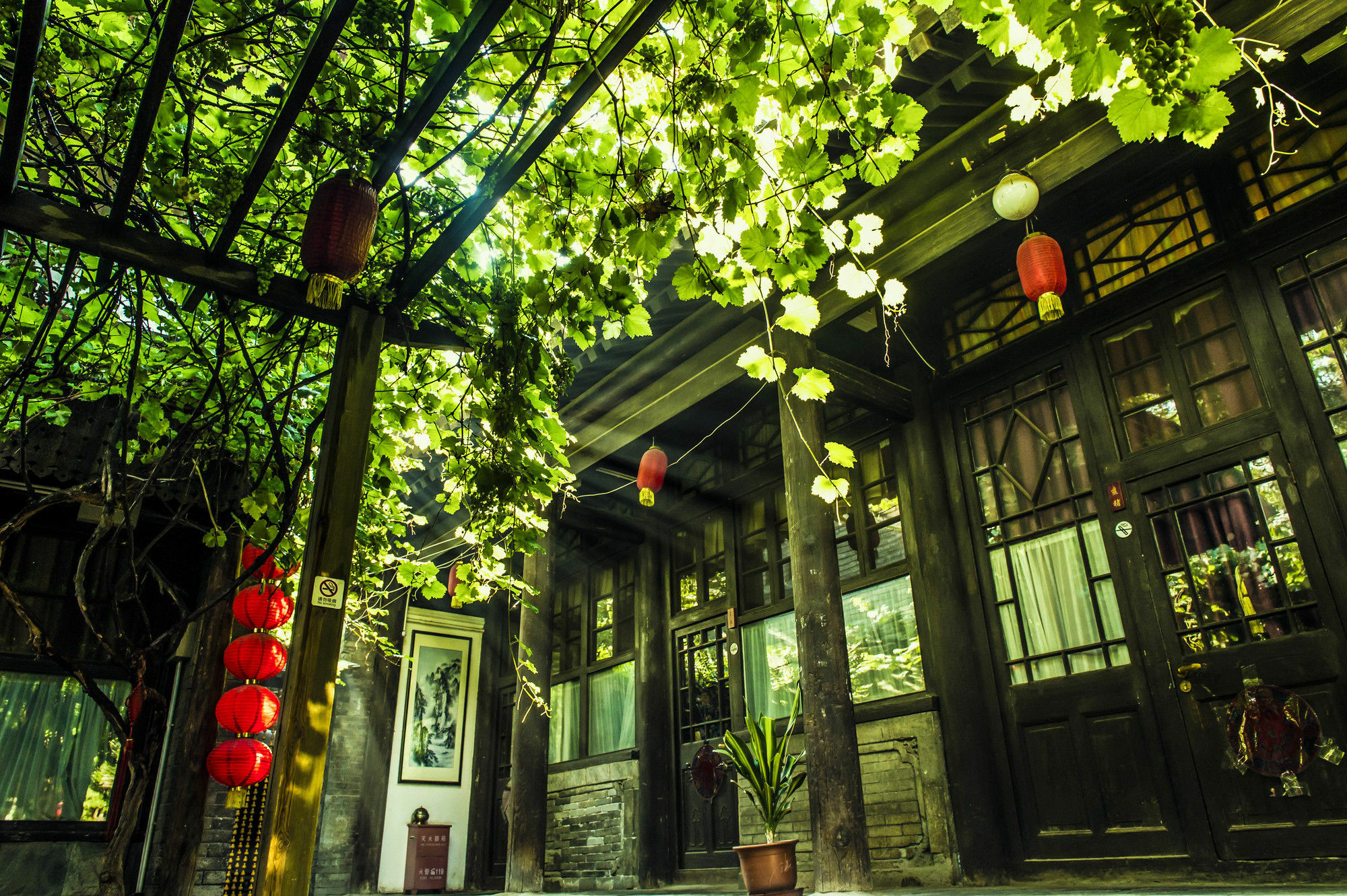 Hill Lily Courtyard Hotell Peking Exteriör bild